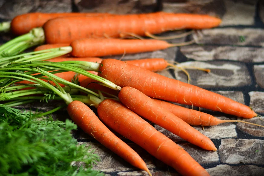 A bunch of raw carrots